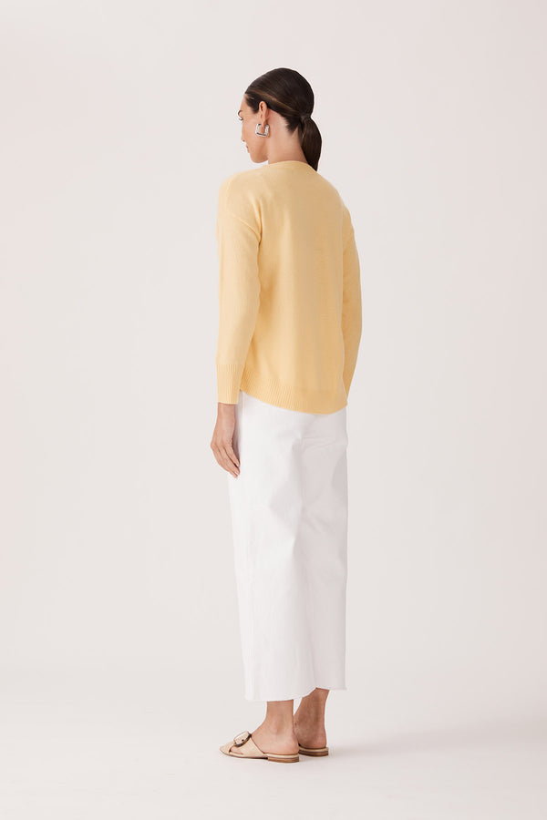 CS22517-LEMON-5jpg