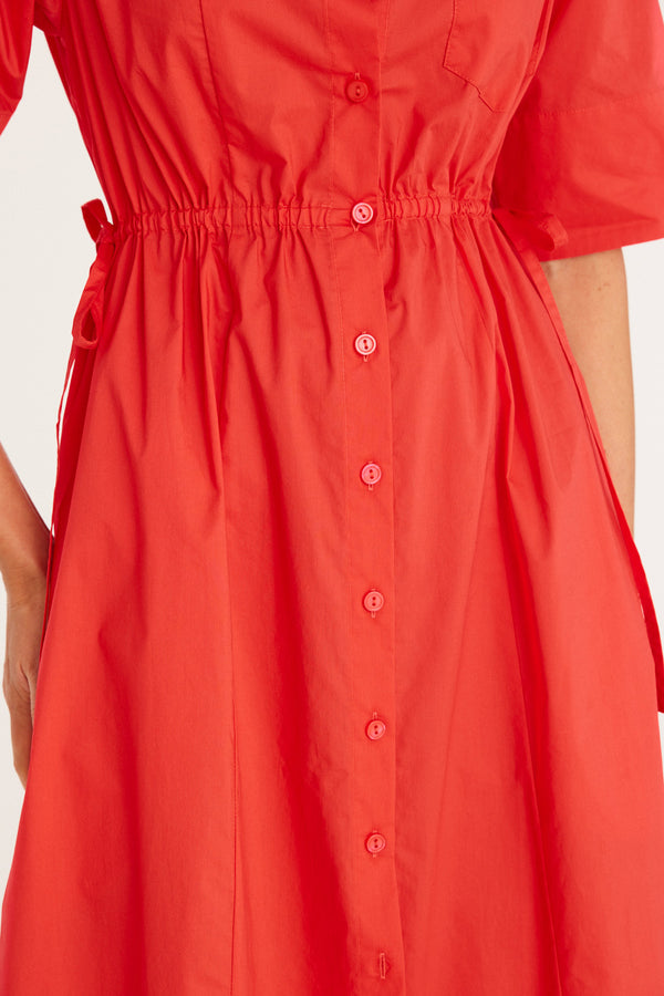 CSS23329-Tomato-6jpg