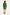 CSS23342-GreenP-5jpg