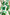 CSS23451-GreenPalm-6jpg