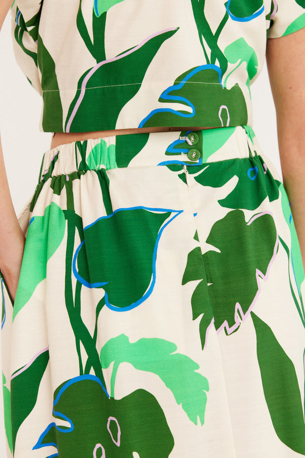 CSS23451-GreenPalm-6jpg