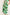 CSS23452-GreenPalm-6jpg