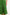CSS23453-Green-6jpg