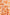 CSS23458-OrangeFl-6jpg