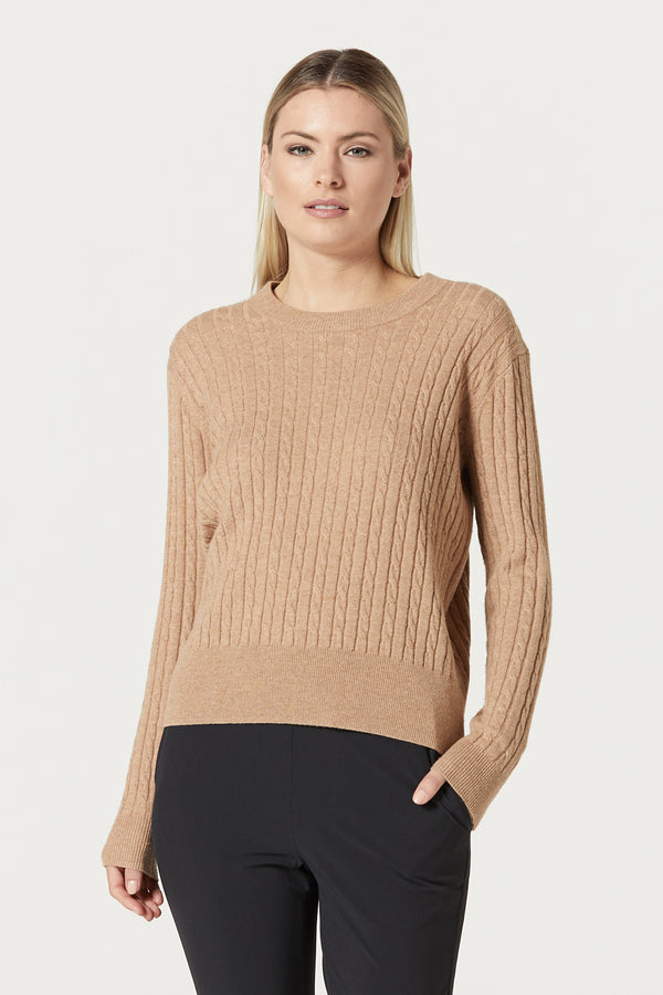 CS21221_CAMEL_1_pdyu6i_1614035770